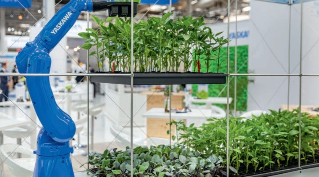 Yaskawa Robot plants