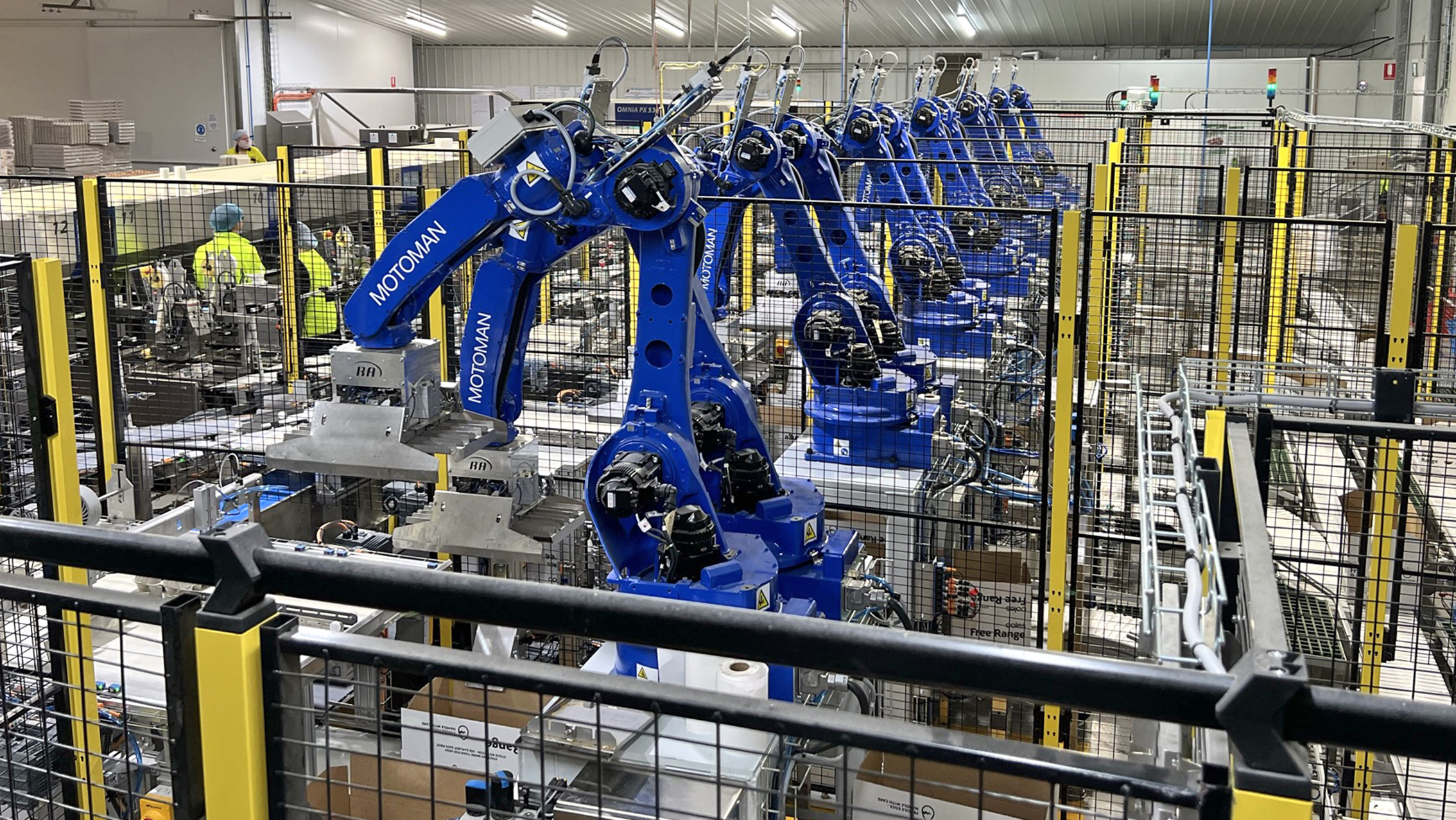 CNC Egg packing plant
